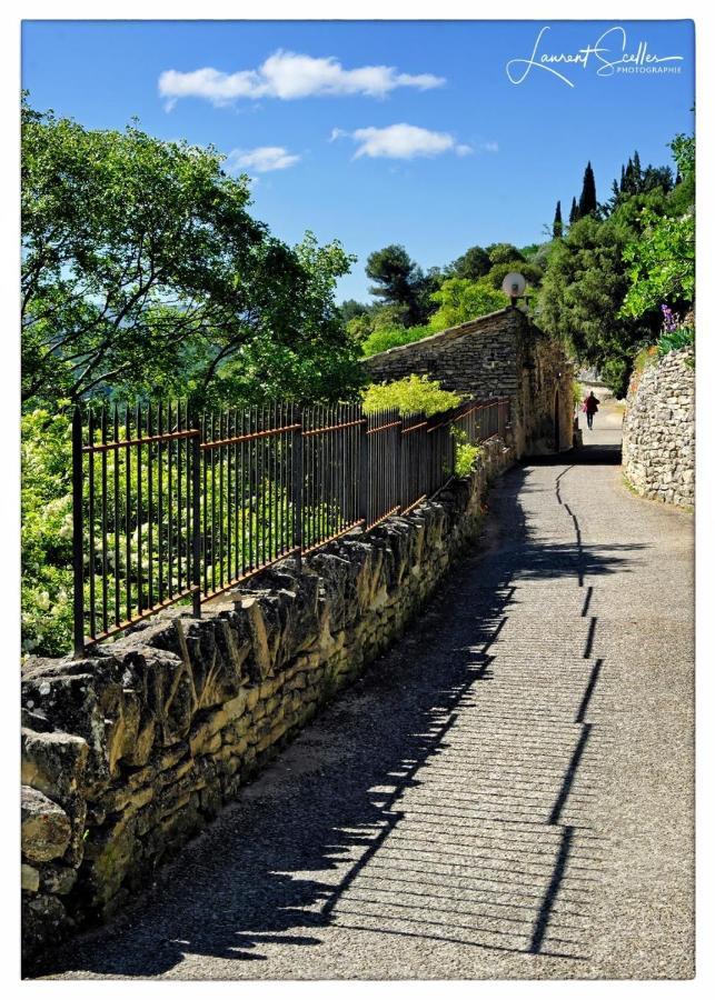 La Cerisaie, Maison Spacieuse En Luberon Villa Saint-Martin-de-Castillon Exterior foto